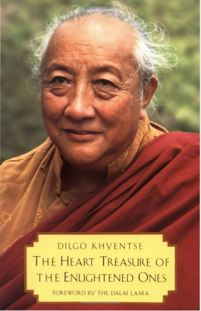 Heart Treasure of the Enlightened Ones by Dilgo Khentse (PDF)